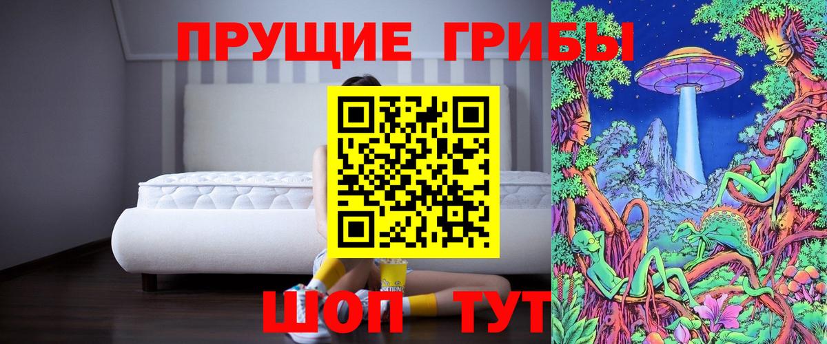 магазин  наркотиков  Вход с VPN  Белорецк  Псилоцибиновые грибы Psilocybine cubensis 